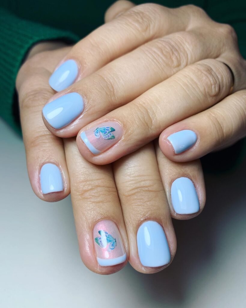 Butterfly Accent Blue