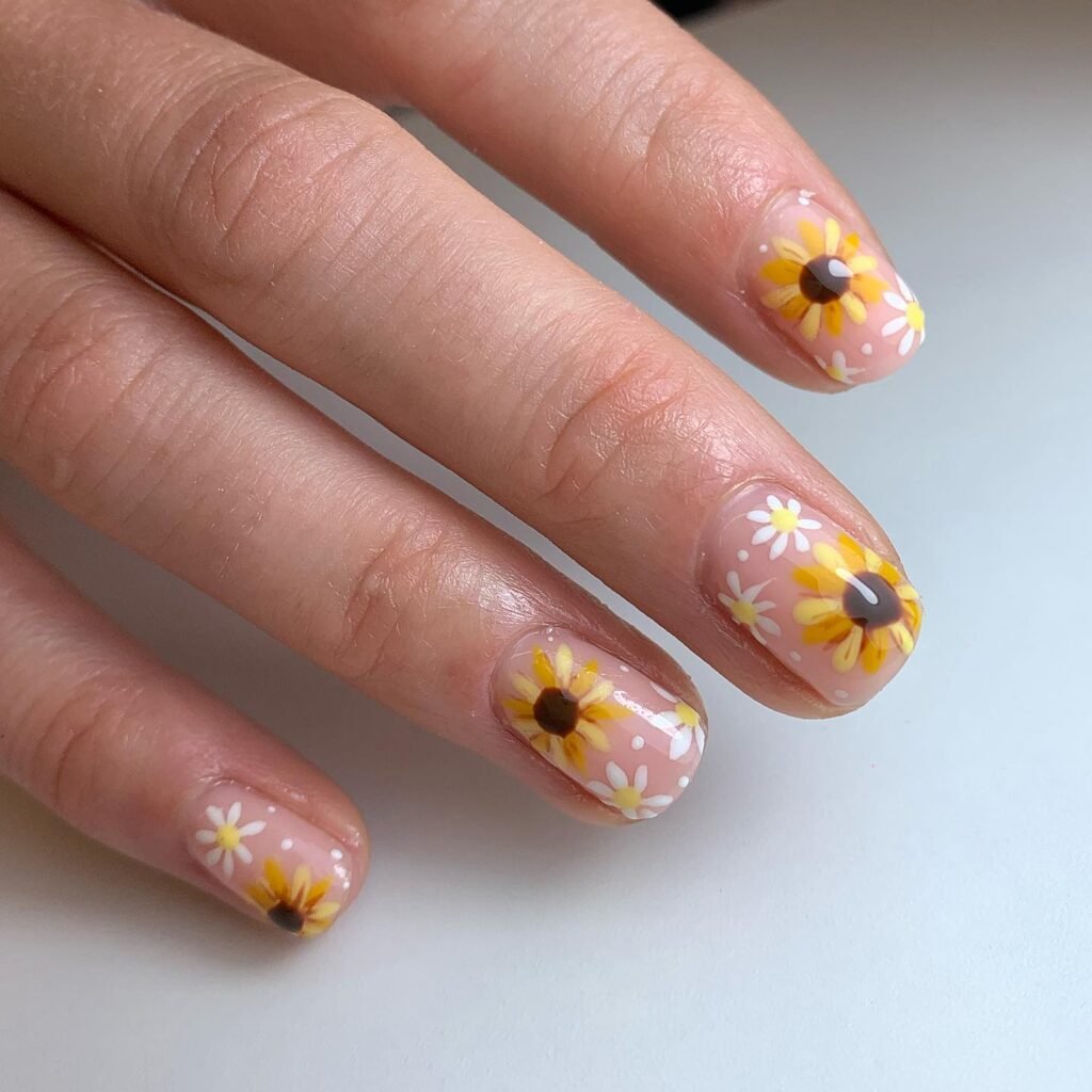  Short Daisy Sunflowers